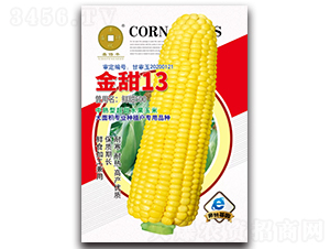 ����13-���׷N��-�A��N�I 