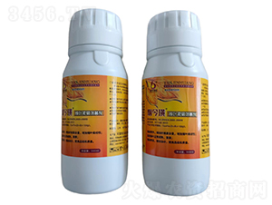 ���~���g���S��-�����-�����r(n��ng)�� 