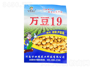 �󶹷N��-�f��19-�f���Z