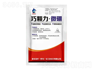 ���w����΢��-�����r