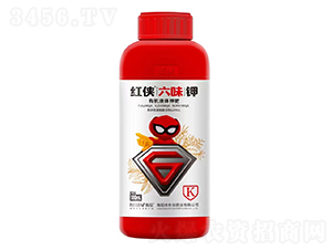 �ЙCҺ�w⛷�-�t�b��ζ�-�����ʘI