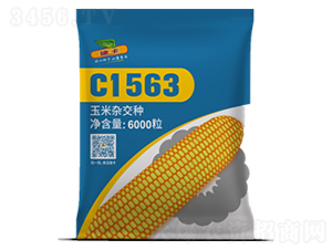 C1563-���׷N��