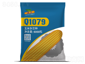 Q1079-���׷N��