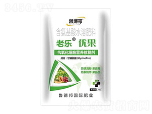 �����������I�B�ޏ̈́�-�Ϙ�����-���°�