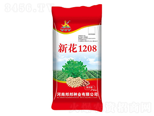 �»�1208�����N��-���S�@-���N�I