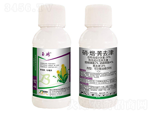 24%��������ݬȥ��-��u-ؐ˹���r(n��ng)��