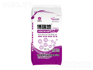 ���}�V�����{�턩-�����-��������