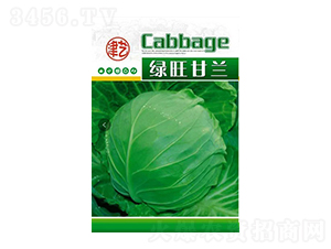 ���{�N��-�G�����{-���S�r�I