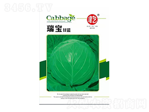 ���{�N��-�������{-���S�r�I