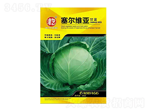 ���{�N��-ِ���S��-���S�r�I