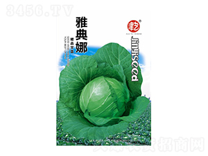 ���{�N��-�ŵ���-���S�r�I