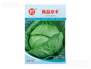 ���{�N��-���S-���S�r�I