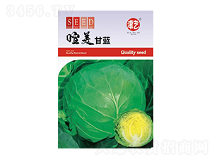 ���{�N��-�������{-���S�r�I