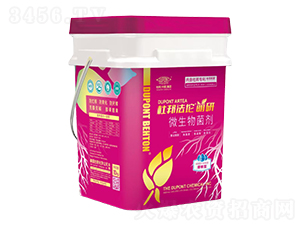 ����������΢�������-�Ű��-�Ű�