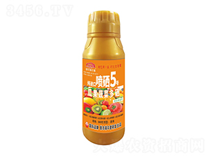 �Ϲ��߲˶������M(j��n)�ڇ���5̖(h��o)-�����r(n��ng)��