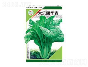 青菜種子-太樂四季青-太樂種業