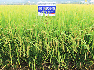 誃Ƀ�����-ˮ���N��-�𽡷N�I