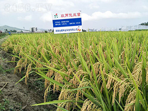 ���Ƀ��z��-ˮ���N��-�𽡷N�I