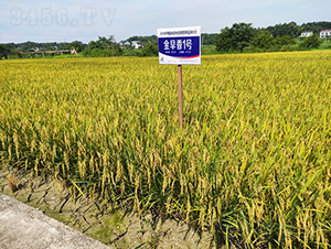 ������1̖-ˮ���N��-�𽡷N�I