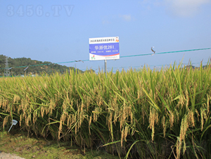 �A�マ281-ˮ���N��-�𽡷N�I