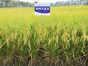 �R�Ƀ�����-ˮ���N��-�𽡷N�I