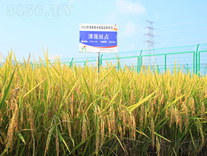 ��ɏ�zռ-ˮ���N��-�𽡷N�I