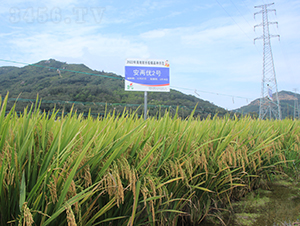 ���Ƀ�2̖-ˮ���N��-�𽡷N�I