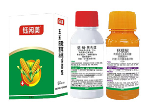 �����������ݽM�����b-��e��-�Z����