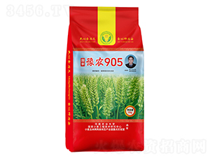 ����ԥ�r905С���N��-���N�I