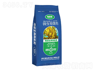 ���������ЙC��-������