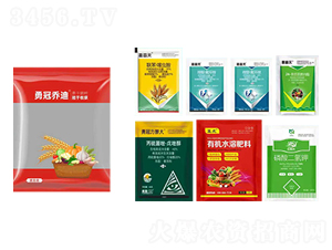 �����Ч���a�M��-�¹چ̵�