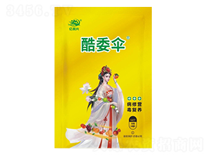 ��ί��-�|���d-�¹چ̵�