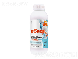 ľ�|�ᡤʮ��Ԫ��-ʩ�ֿ�