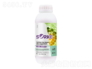 ľ�|�ᡤ�}�F���\�V-ʩ�ֿ�