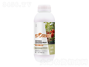 ľ�|�ᡤ���ѹ�-ʩ�ֿ�