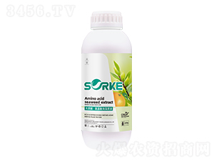 ľ�|�ᡤ�����ả��ԭҺ-ʩ�ֿ�