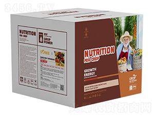 ľ�|�ᡤ�����-ʩ�ֿ�