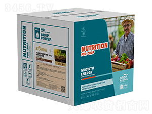 ľ�|�ᡤ�{���ɽ�-ʩ�ֿ�