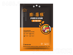 ��������Ͷ��Ǐͺ�����ø-������-�f���t-������