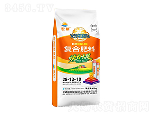 �ͺϷ���28-13-10-���ׇ��H