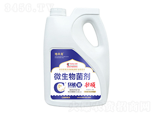 ΢�������-�ѴT-�|��̼