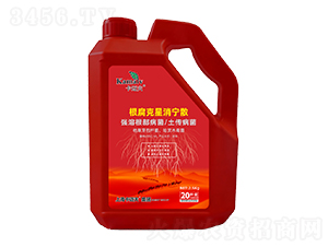 ������������ɢ-���~��