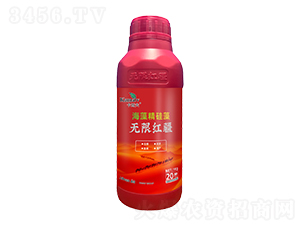 ���徫����-�o�޼t��-���~��