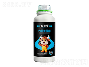 ��ς���(d��o)��-�����_