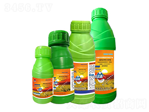 ���_(d��)ͨ�w����������-����r(n��ng)�I(y��)