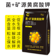 ����ʡ����������Ƽ����޹�˾ 