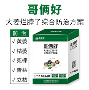 ���ϼшD-�ÌW������I�B����