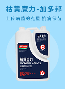 �����Ӷ����H���F����I�B���޹�˾