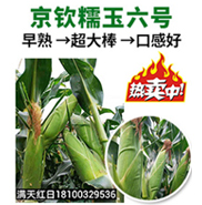 �����M��t�����＼�g���޹�˾