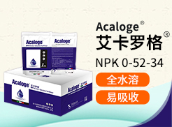 ���u���L�M�������޹�˾